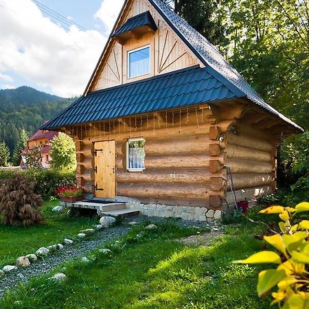 Domki U Ciaptoka Zakopane Exterior foto