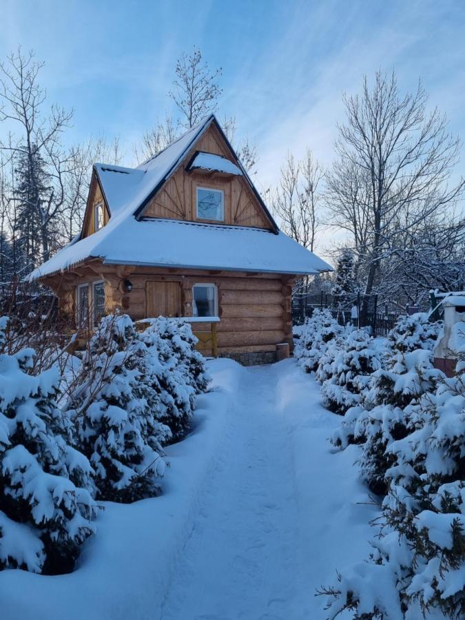Domki U Ciaptoka Zakopane Exterior foto