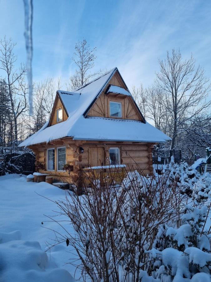 Domki U Ciaptoka Zakopane Exterior foto