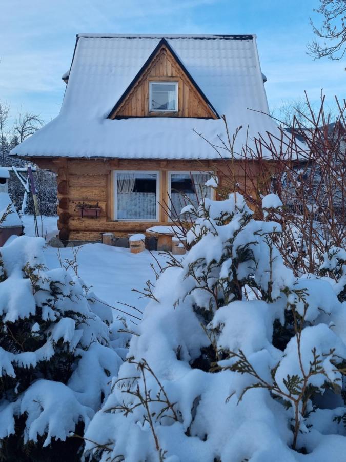 Domki U Ciaptoka Zakopane Exterior foto