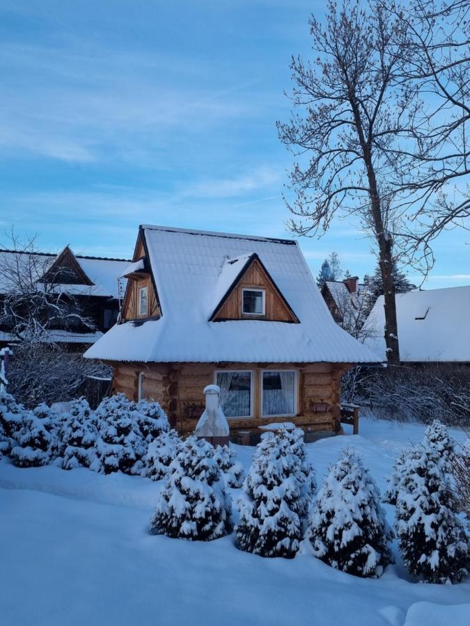 Domki U Ciaptoka Zakopane Exterior foto