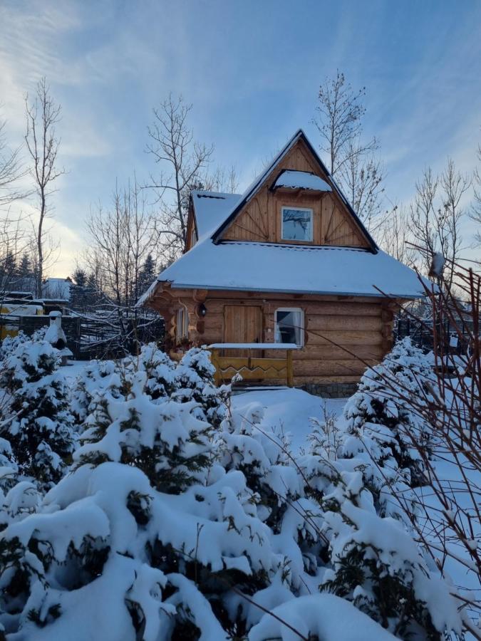 Domki U Ciaptoka Zakopane Exterior foto